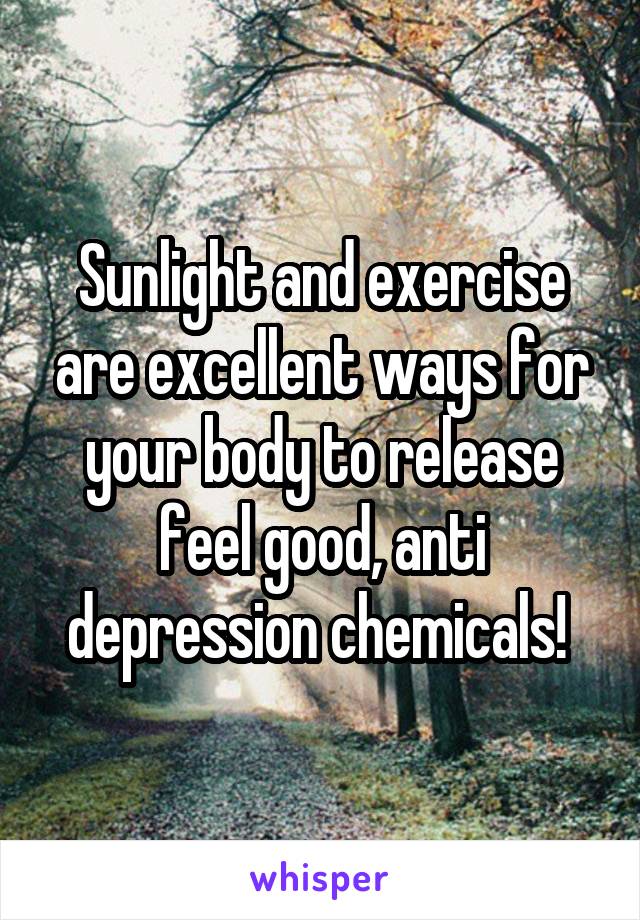 Sunlight and exercise are excellent ways for your body to release feel good, anti depression chemicals! 