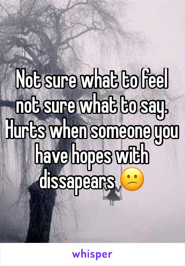 Not sure what to feel not sure what to say. Hurts when someone you have hopes with dissapears 😕