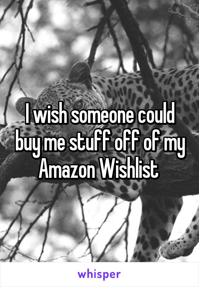I wish someone could buy me stuff off of my Amazon Wishlist 