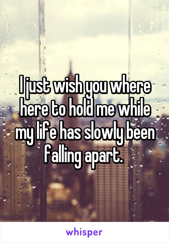 I just wish you where here to hold me while my life has slowly been falling apart. 