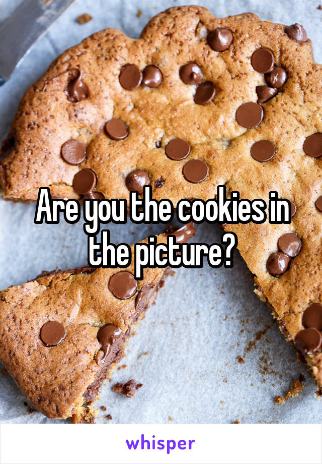 Are you the cookies in the picture?