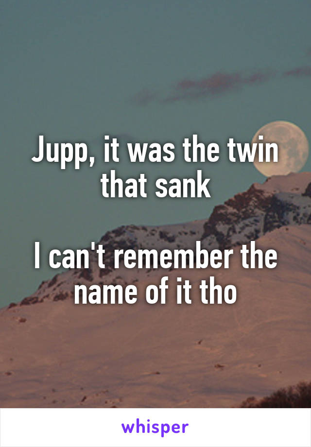 Jupp, it was the twin that sank

I can't remember the name of it tho