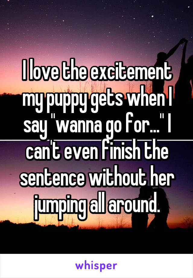 I love the excitement my puppy gets when I say "wanna go for..." I can't even finish the sentence without her jumping all around.