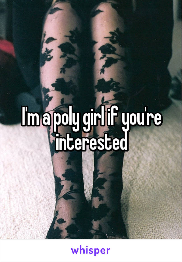 I'm a poly girl if you're interested