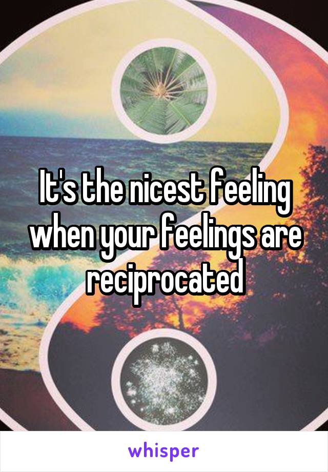 It's the nicest feeling when your feelings are reciprocated
