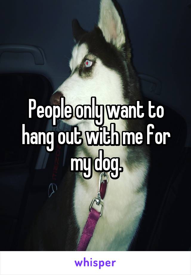 People only want to hang out with me for my dog.