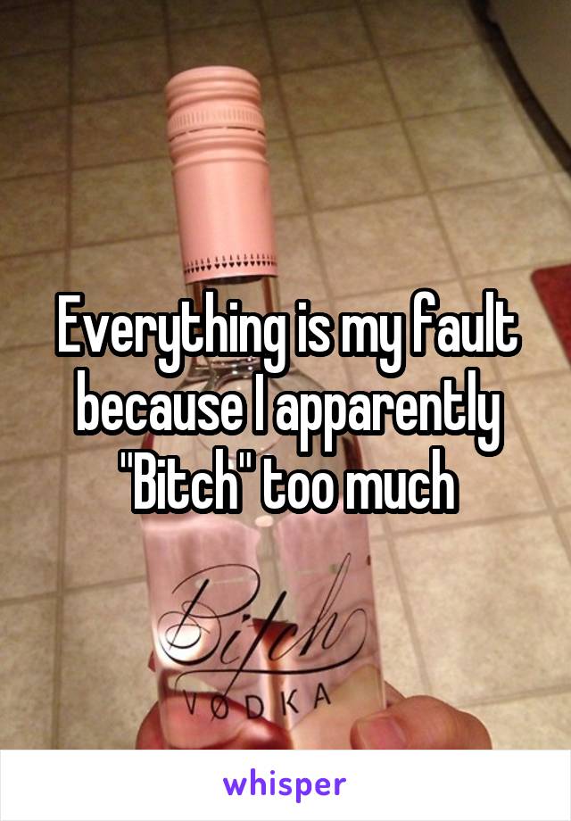 Everything is my fault because I apparently "Bitch" too much