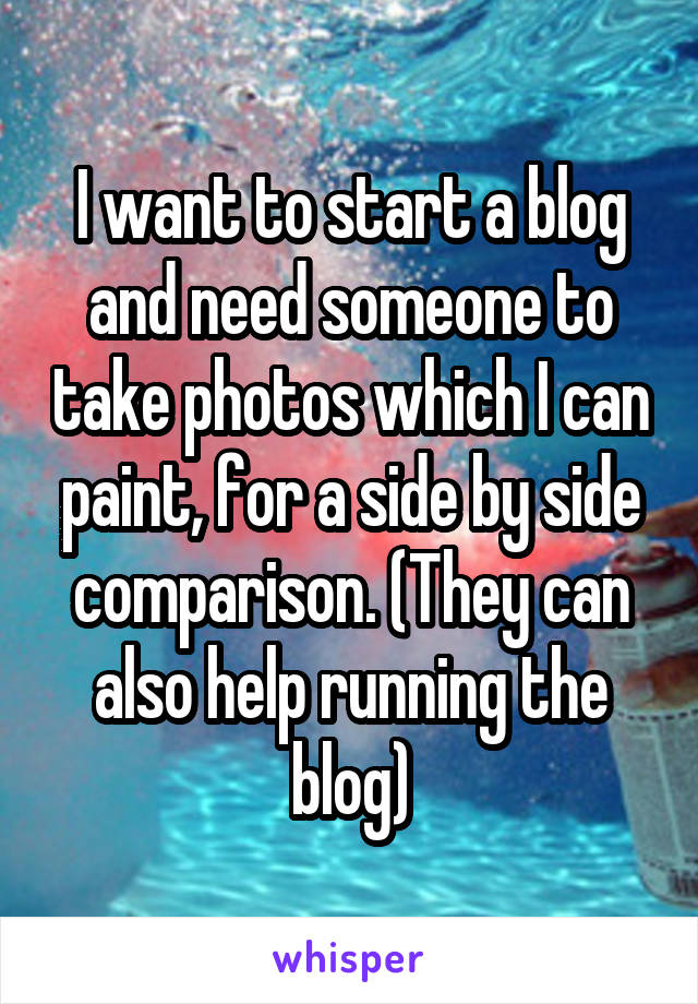 I want to start a blog and need someone to take photos which I can paint, for a side by side comparison. (They can also help running the blog)
