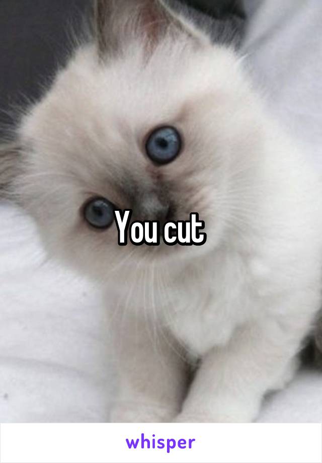 You cut 