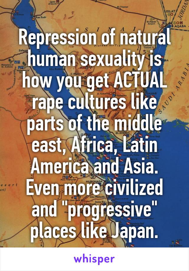 Repression of natural human sexuality is how you get ACTUAL rape cultures like parts of the middle east, Africa, Latin America and Asia. Even more civilized and "progressive" places like Japan.