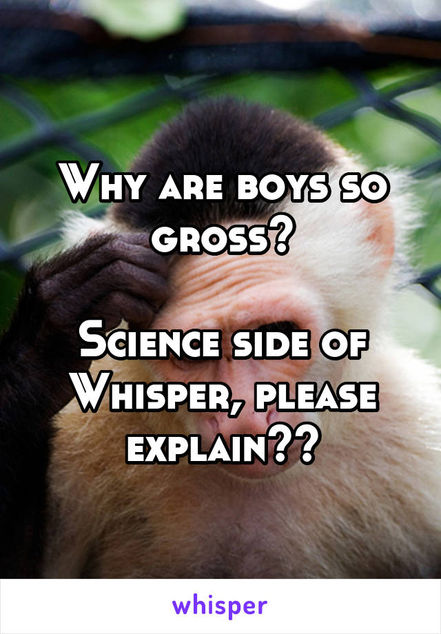 Why are boys so gross?

Science side of Whisper, please explain??