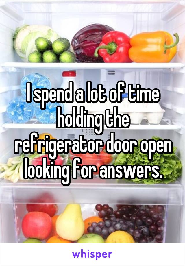I spend a lot of time
holding the refrigerator door open
looking for answers.