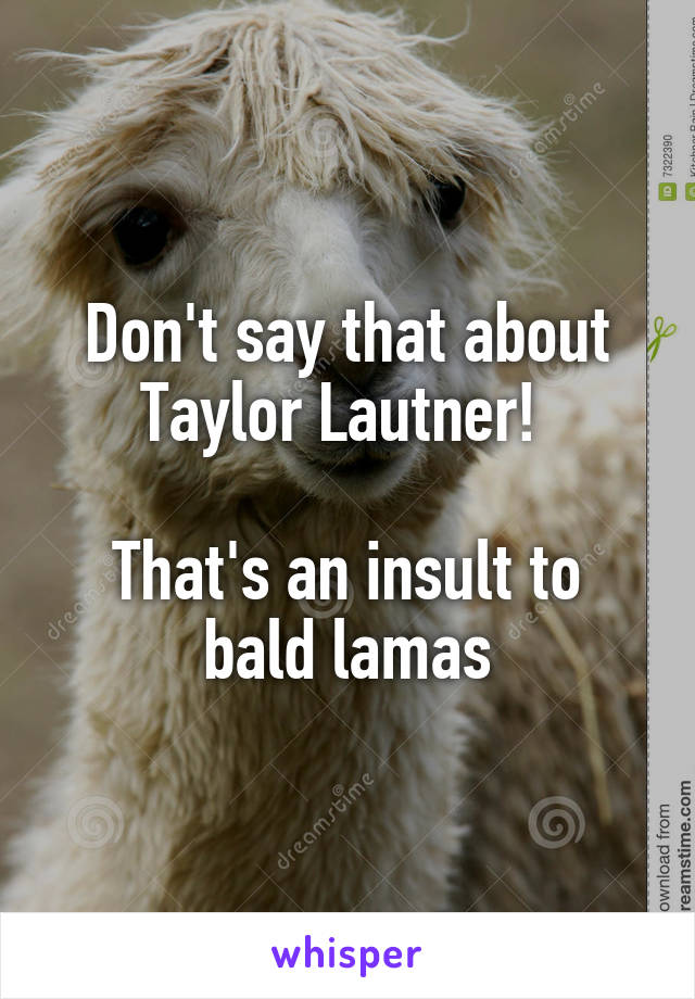 Don't say that about Taylor Lautner! 

That's an insult to bald lamas