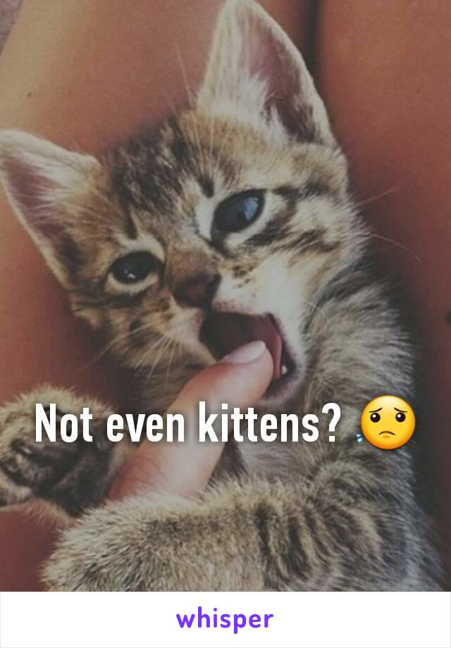 Not even kittens? 😟