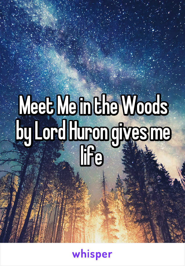 Meet Me in the Woods by Lord Huron gives me life 