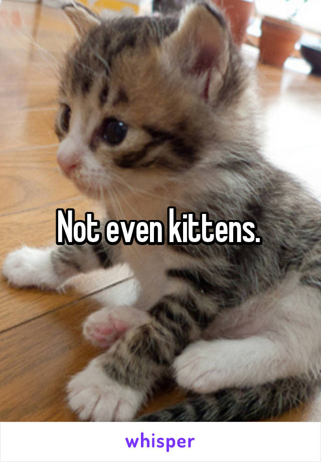 Not even kittens. 