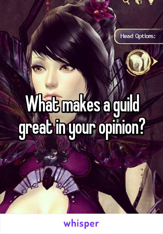 What makes a guild great in your opinion?