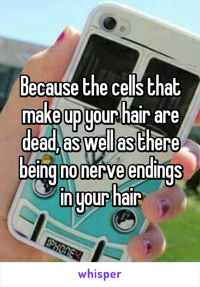 Because the cells that make up your hair are dead, as well as there being no nerve endings in your hair