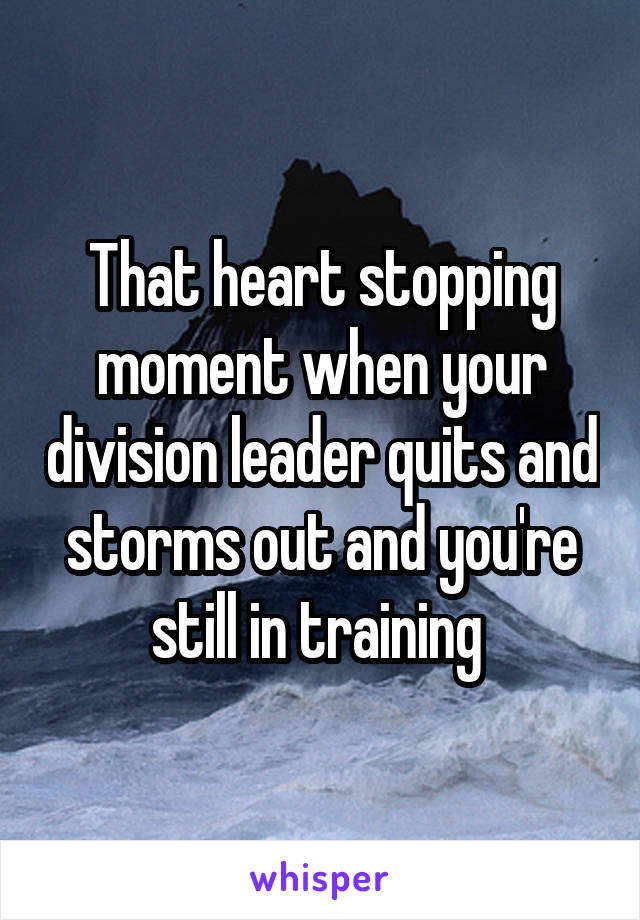 That heart stopping moment when your division leader quits and storms out and you're still in training 