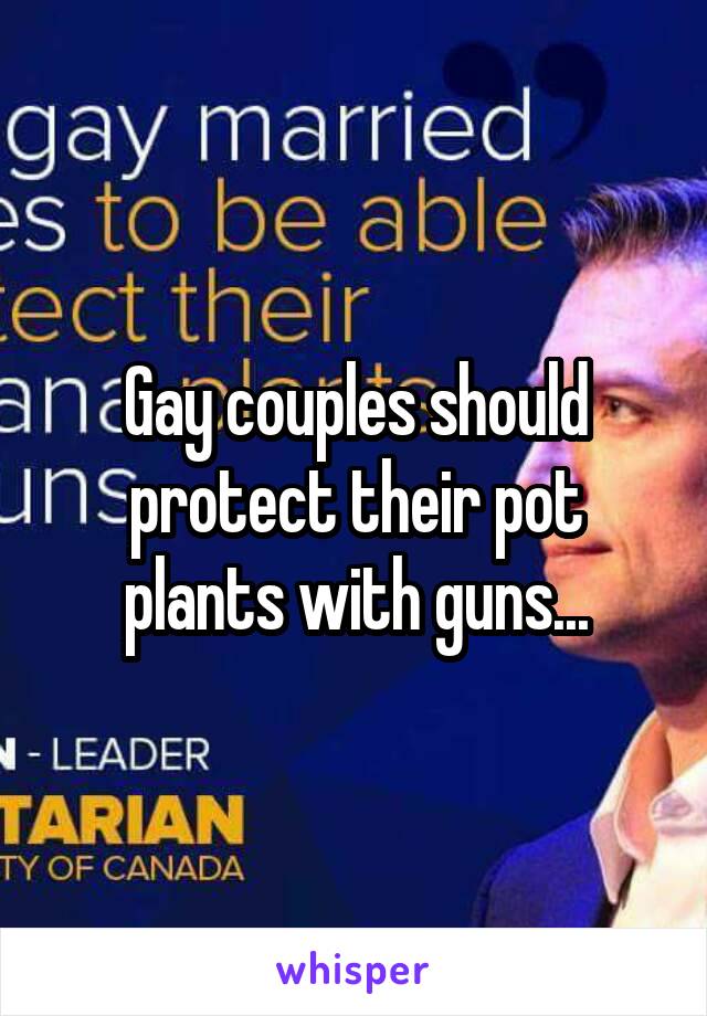 Gay couples should protect their pot plants with guns...