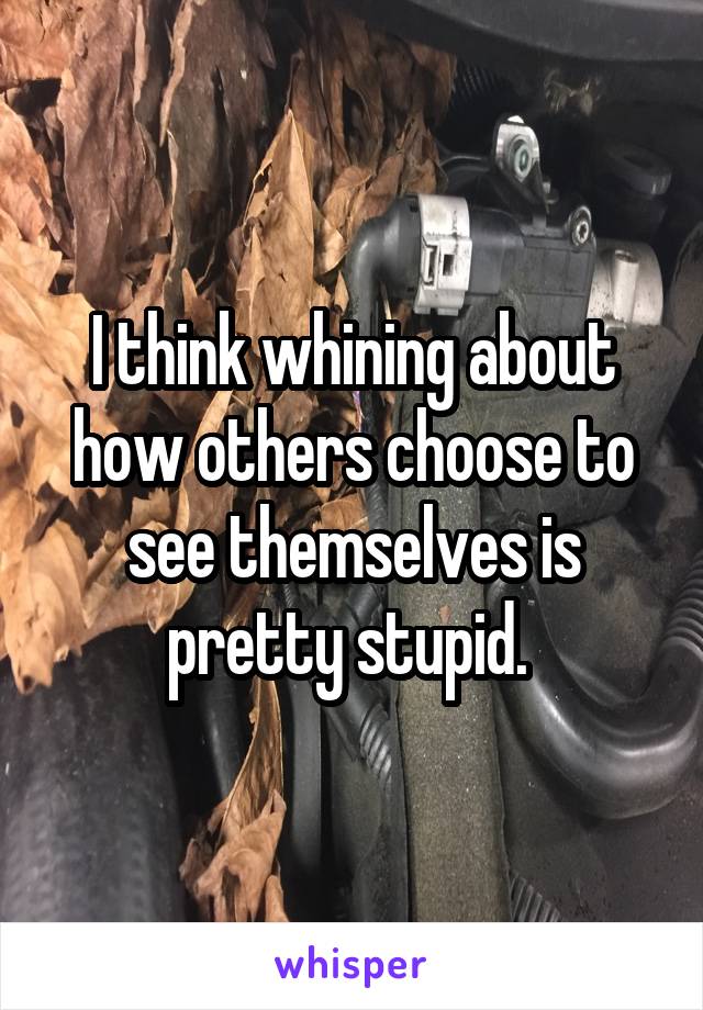 I think whining about how others choose to see themselves is pretty stupid. 