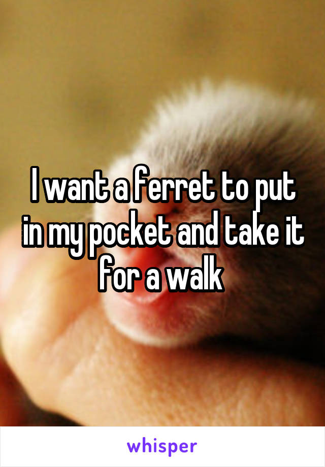 I want a ferret to put in my pocket and take it for a walk 