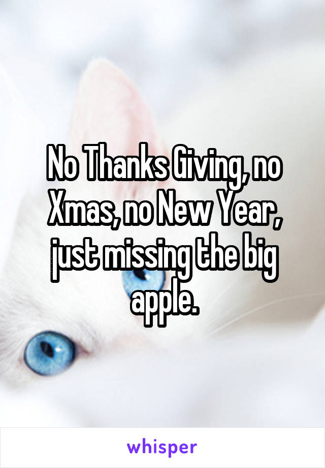 No Thanks Giving, no Xmas, no New Year, just missing the big apple.