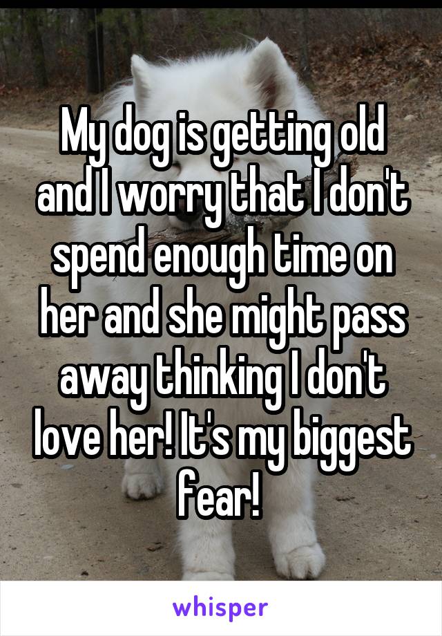 My dog is getting old and I worry that I don't spend enough time on her and she might pass away thinking I don't love her! It's my biggest fear! 