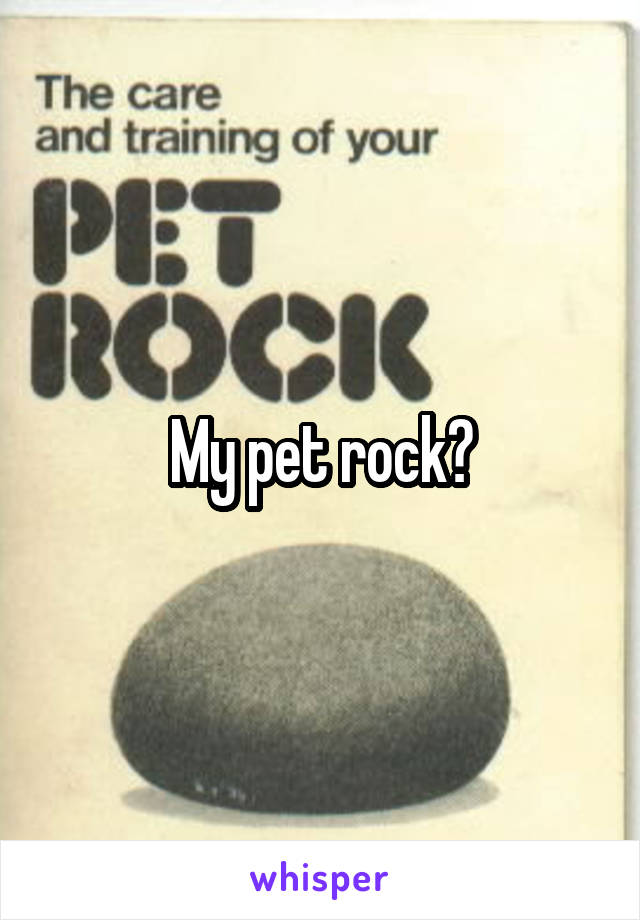 My pet rock?