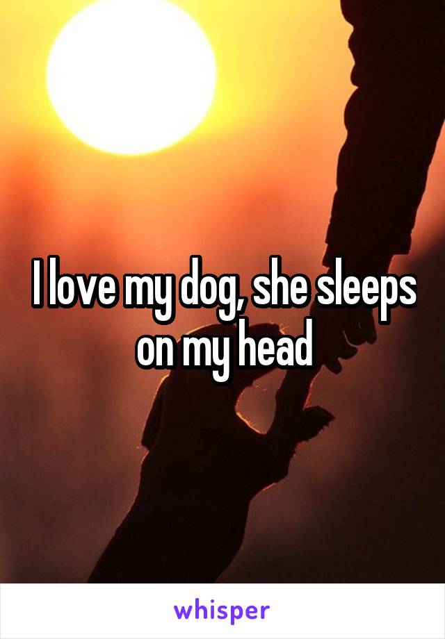 I love my dog, she sleeps on my head