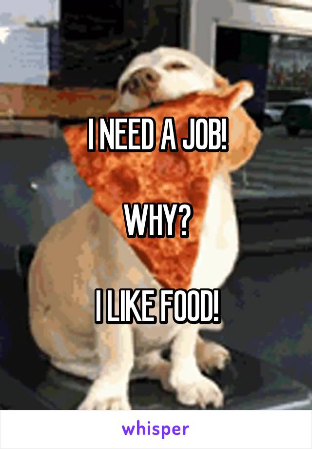 I NEED A JOB!

WHY?

I LIKE FOOD!