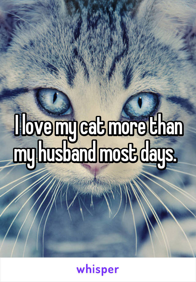 I love my cat more than my husband most days.  