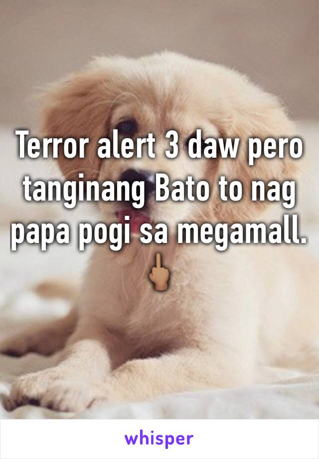 Terror alert 3 daw pero tanginang Bato to nag papa pogi sa megamall. 🖕🏽