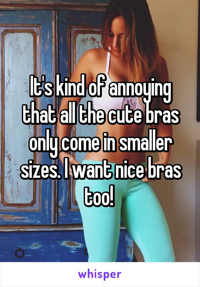 It's kind of annoying that all the cute bras only come in smaller sizes. I want nice bras too! 