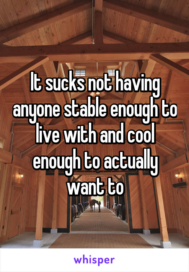 It sucks not having anyone stable enough to live with and cool enough to actually want to