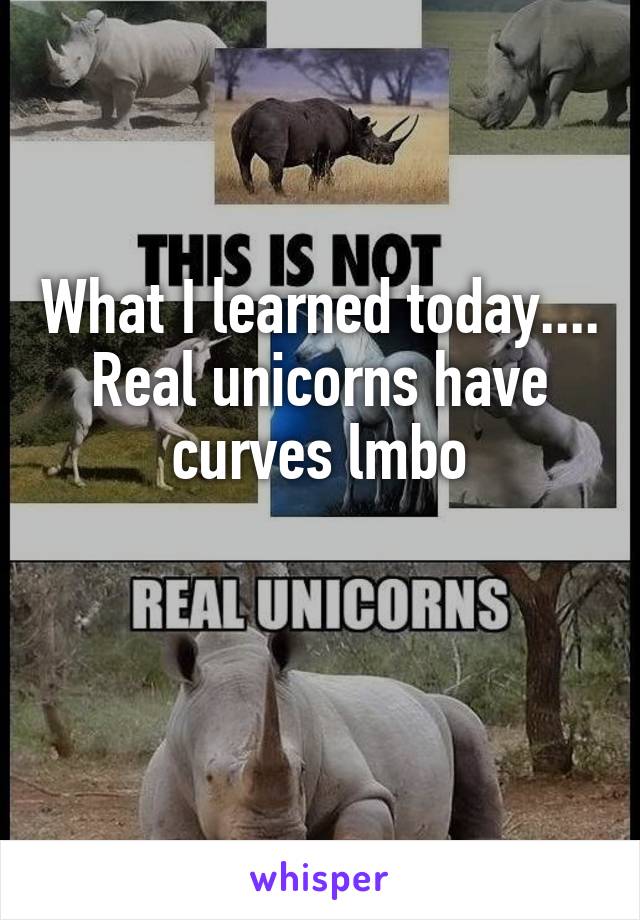 What I learned today....
Real unicorns have curves lmbo

