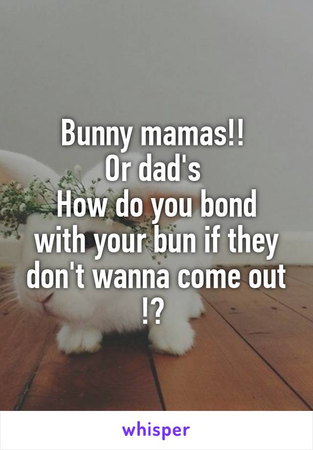 Bunny mamas!! 
Or dad's 
How do you bond with your bun if they don't wanna come out !? 