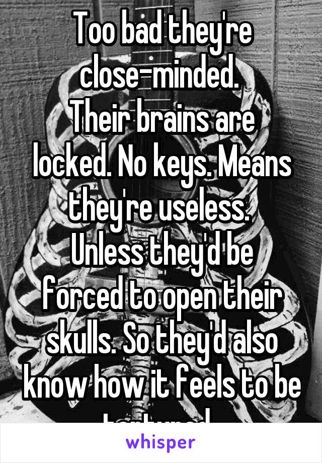Too bad they're close-minded. 
Their brains are locked. No keys. Means they're useless. 
Unless they'd be forced to open their skulls. So they'd also know how it feels to be tortured. 
