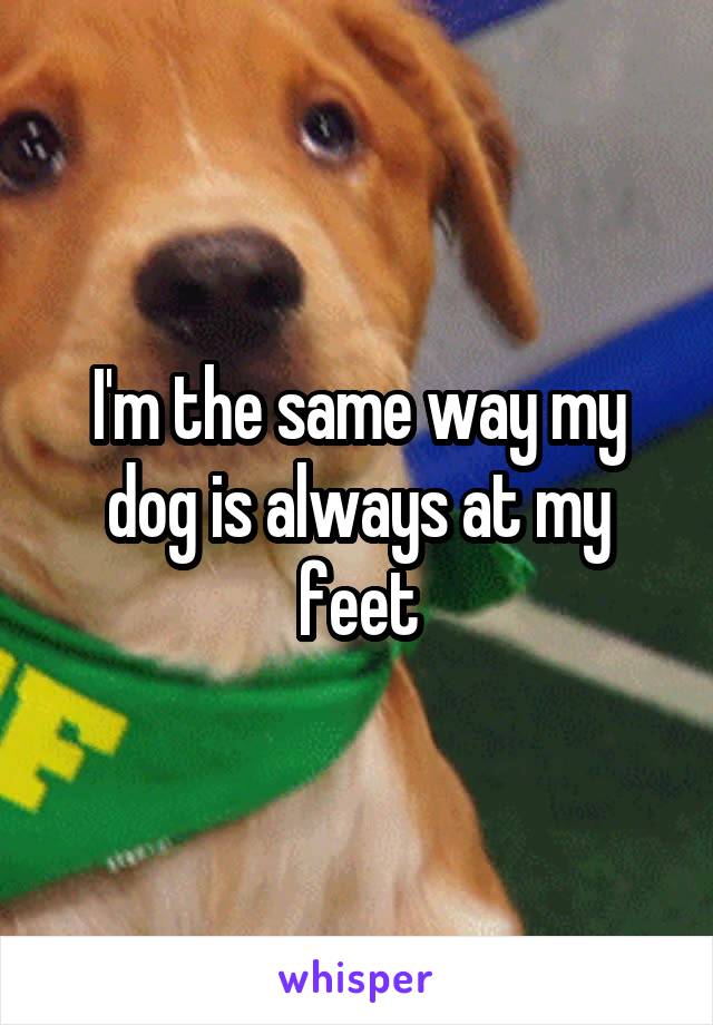 I'm the same way my dog is always at my feet