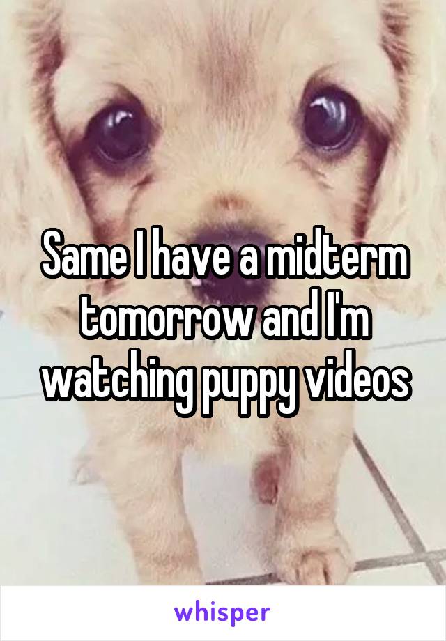 Same I have a midterm tomorrow and I'm watching puppy videos