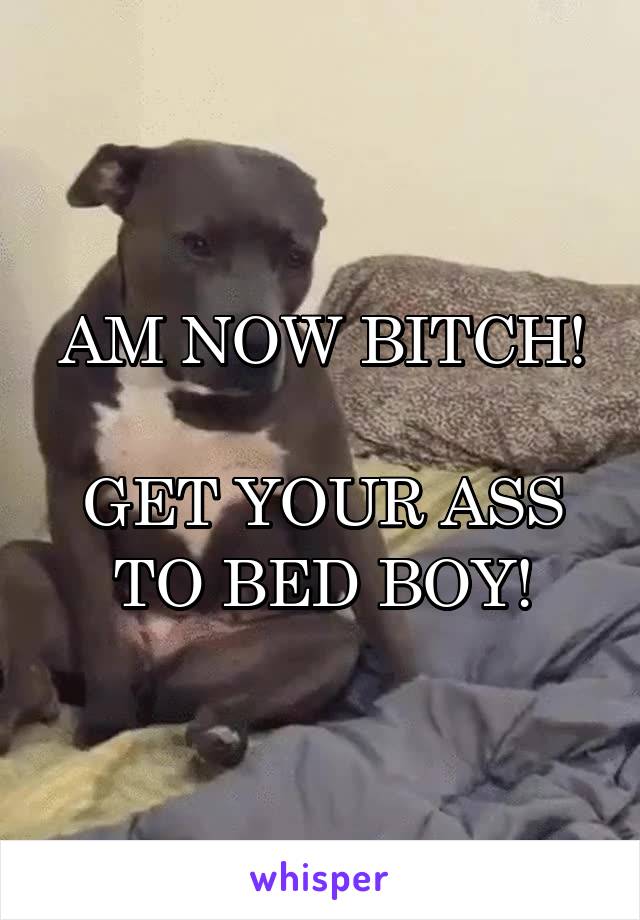 AM NOW BITCH!

GET YOUR ASS TO BED BOY!