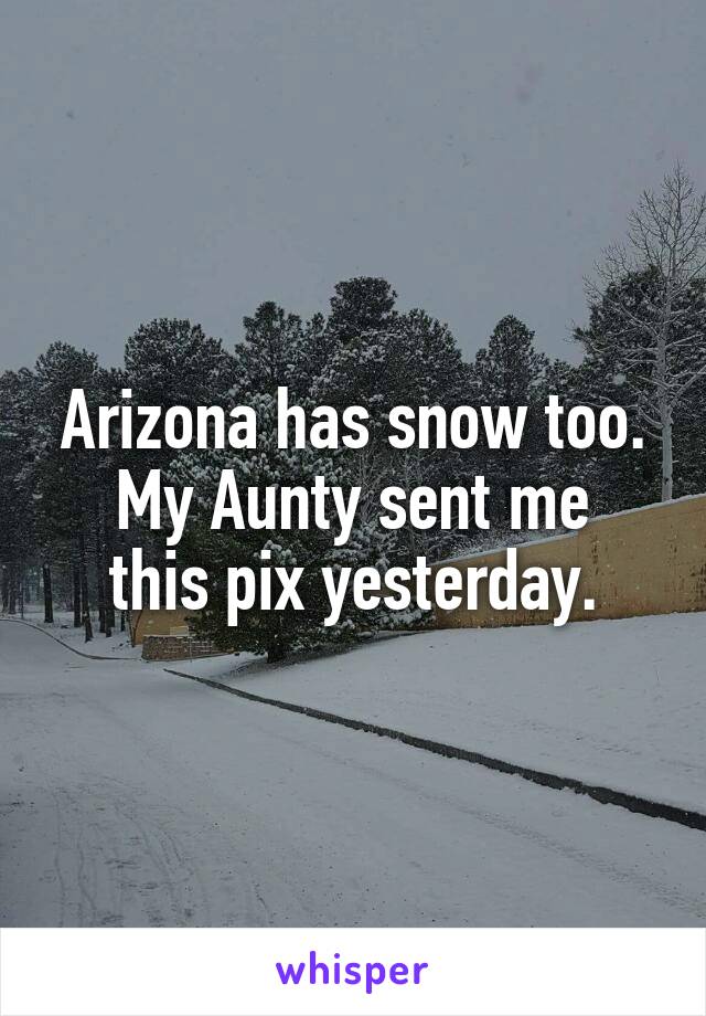 Arizona has snow too.
My Aunty sent me this pix yesterday.