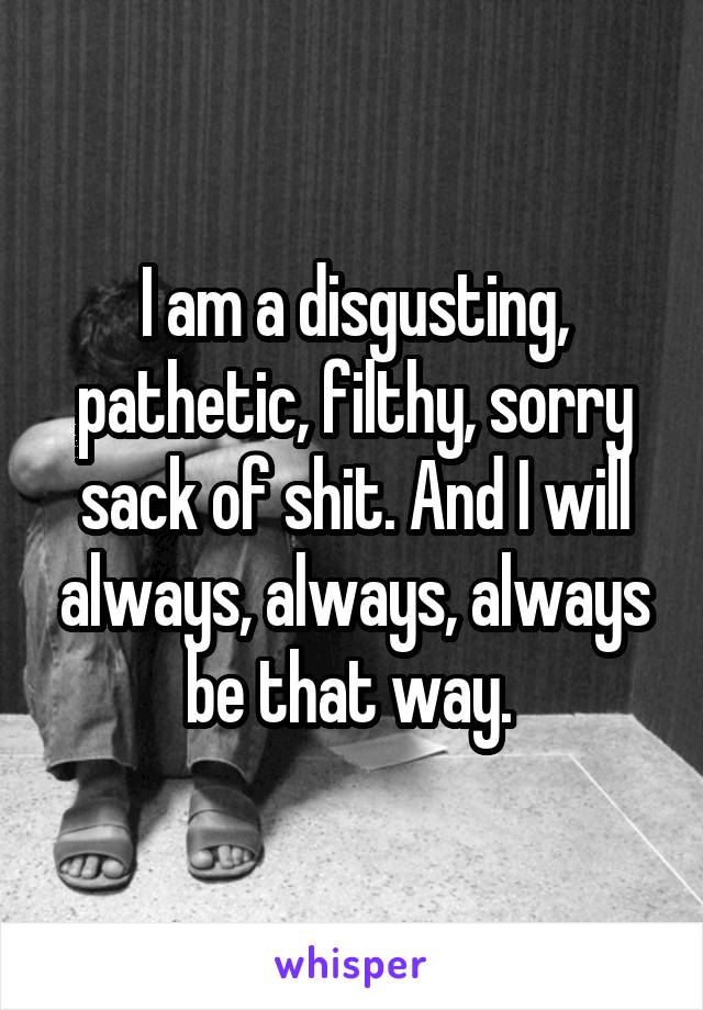 I am a disgusting, pathetic, filthy, sorry sack of shit. And I will always, always, always be that way. 