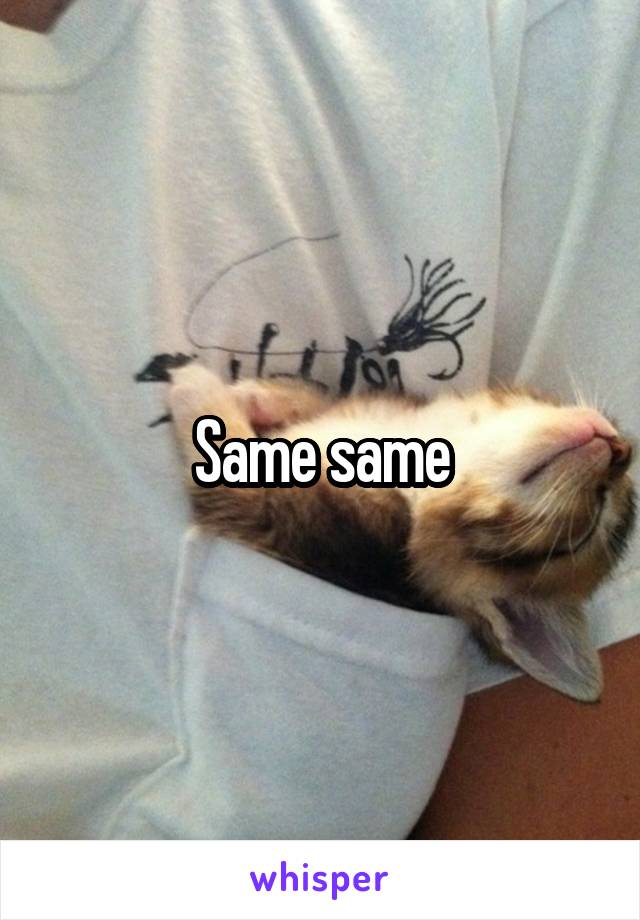 Same same