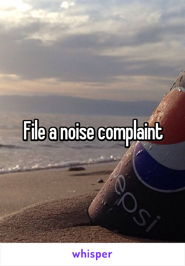 File a noise complaint