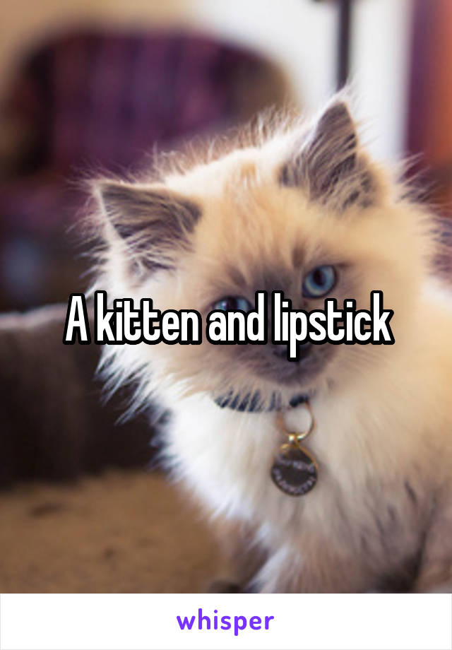 A kitten and lipstick