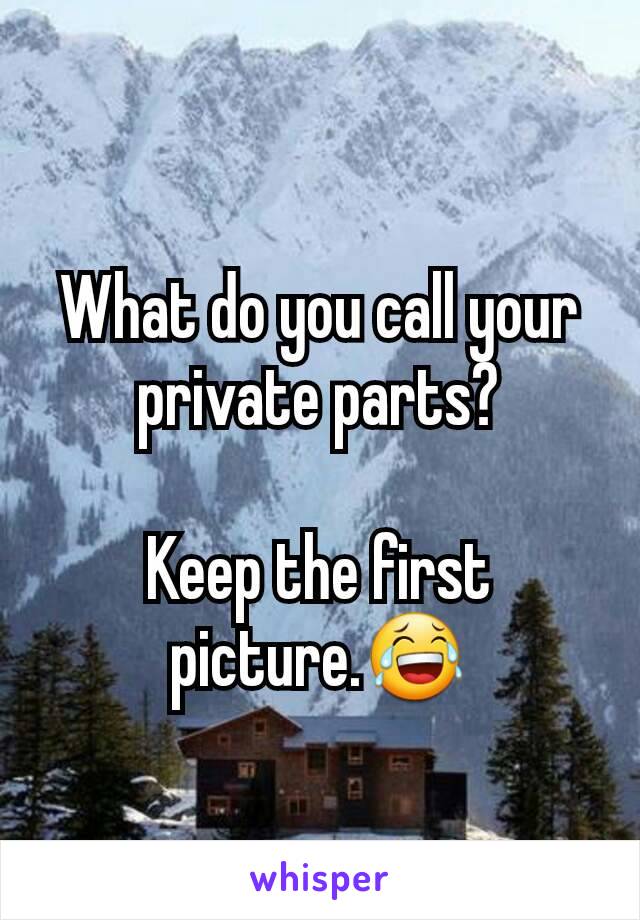 What do you call your  private parts?

Keep the first  picture.😂