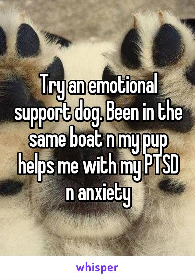 Try an emotional support dog. Been in the same boat n my pup helps me with my PTSD n anxiety