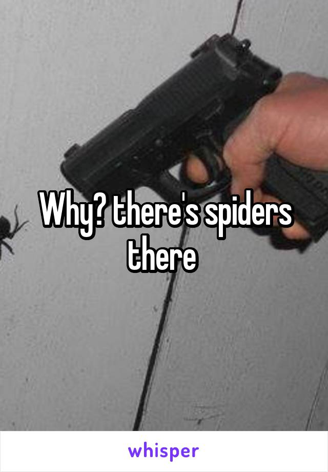 Why? there's spiders there 