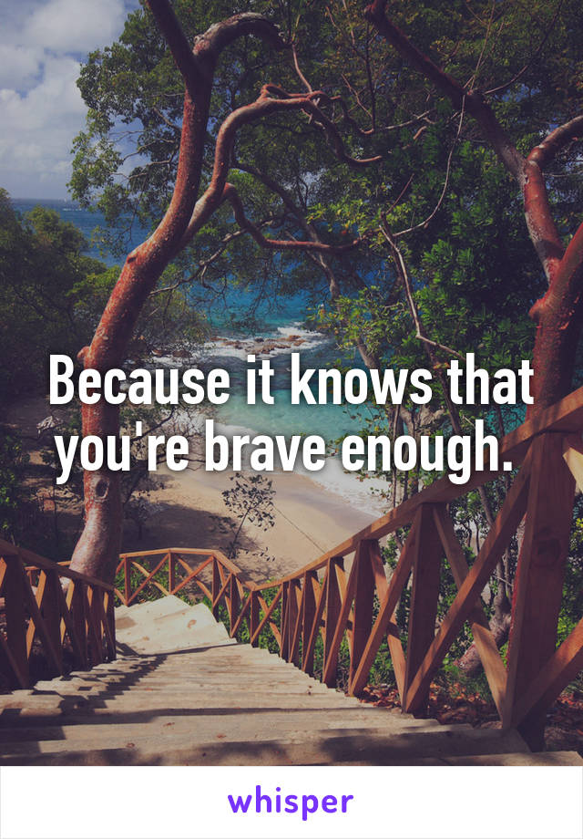 Because it knows that you're brave enough. 